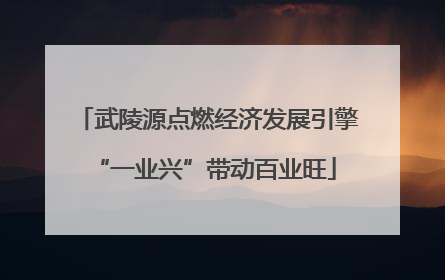 武陵源点燃经济发展引擎 “一业兴”带动百业旺