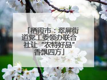 栖霞市：翠屏街道党工委领办联合社让“农特好品”香飘四方