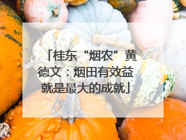 桂东“烟农”黄德文：烟田有效益就是最大的成就