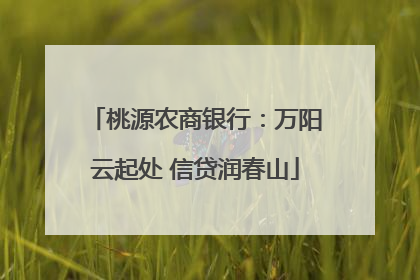 桃源农商银行：万阳云起处 信贷润春山
