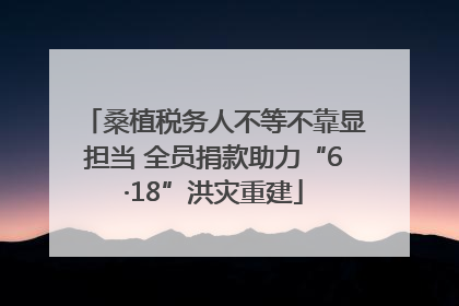桑植税务人不等不靠显担当 全员捐款助力“6·18”洪灾重建