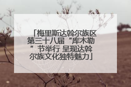 梅里斯达斡尔族区第三十八届“库木勒”节举行 呈现达斡尔族文化独特魅力