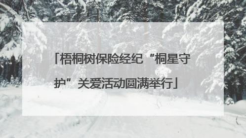 梧桐树保险经纪“桐星守护”关爱活动圆满举行