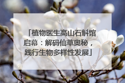 植物医生高山石斛馆启幕：解码仙草奥秘，践行生物多样性发展