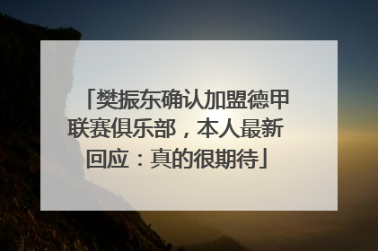 樊振东确认加盟德甲联赛俱乐部，本人最新回应：真的很期待