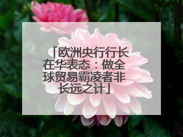 欧洲央行行长在华表态：做全球贸易霸凌者非长远之计