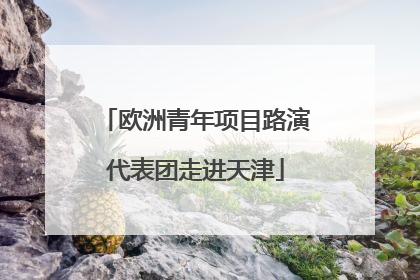 欧洲青年项目路演代表团走进天津