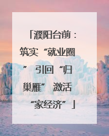 濮阳台前：筑实“就业圈” 引回“归巢雁” 激活“家经济”