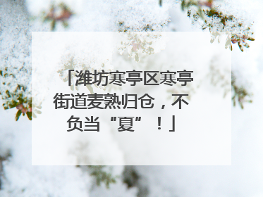 潍坊寒亭区寒亭街道麦熟归仓，不负当“夏”！