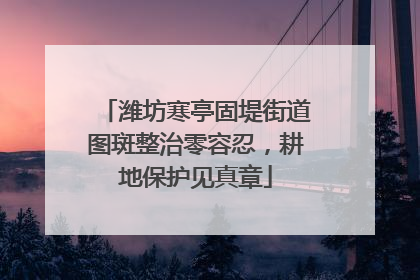 潍坊寒亭固堤街道图斑整治零容忍，耕地保护见真章