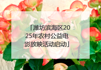 潍坊滨海区2025年农村公益电影放映活动启动