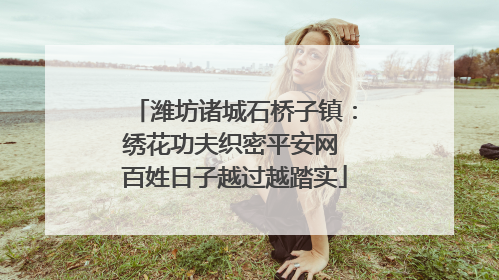 潍坊诸城石桥子镇：绣花功夫织密平安网 百姓日子越过越踏实