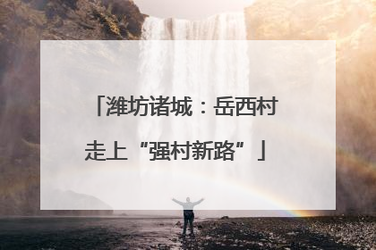 潍坊诸城：岳西村走上“强村新路”