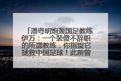 潘粤明炮轰国足教练伊万：一个装傻不辞职的所谓教练，你指望它拯救中国足球！此前曾多次发文评价国足