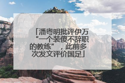 潘粤明批评伊万“一个装傻不辞职的教练”，此前多次发文评价国足