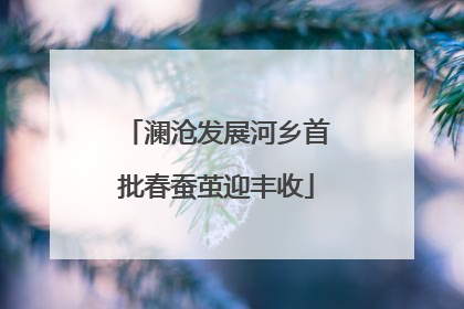 澜沧发展河乡首批春蚕茧迎丰收