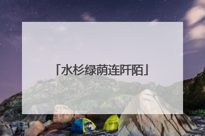水杉绿荫连阡陌