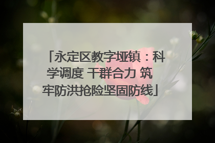 永定区教字垭镇：科学调度 干群合力 筑牢防洪抢险坚固防线