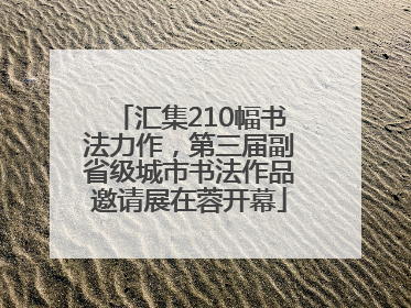 汇集210幅书法力作，第三届副省级城市书法作品邀请展在蓉开幕