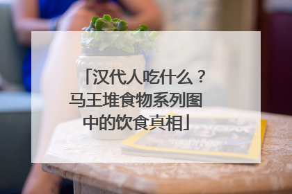 汉代人吃什么？马王堆食物系列图中的饮食真相