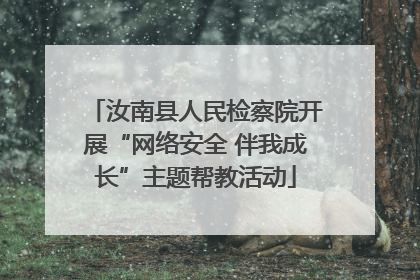 汝南县人民检察院开展“网络安全 伴我成长”主题帮教活动