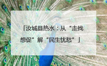 汝城县热水：从“走找想促”解“民生忧愁”