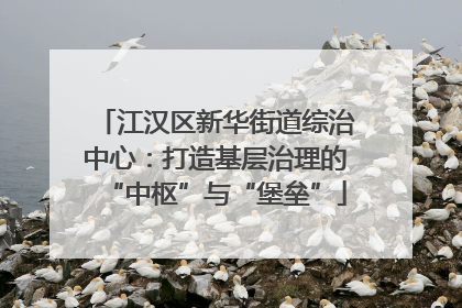 江汉区新华街道综治中心：打造基层治理的“中枢”与“堡垒”