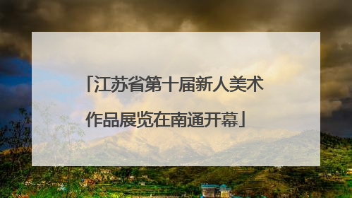 江苏省第十届新人美术作品展览在南通开幕