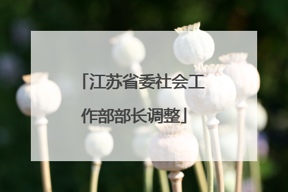 江苏省委社会工作部部长调整