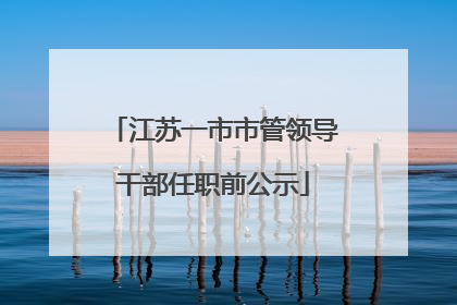 江苏一市市管领导干部任职前公示