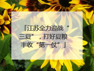 江苏全力迎战“三夏”，打好夏粮丰收“第一仗”
