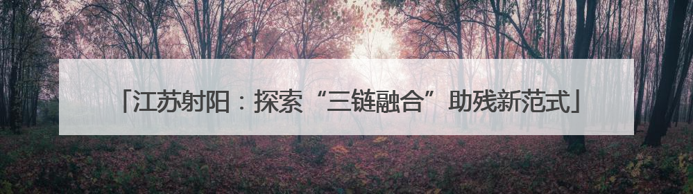 江苏射阳：探索“三链融合”助残新范式