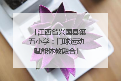 江西省兴国县第五小学：门球运动赋能体教融合