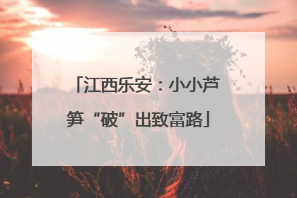 江西乐安：小小芦笋“破”出致富路