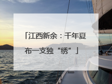 江西新余：千年夏布一支独“绣”