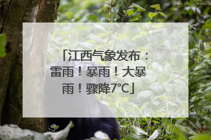 江西气象发布：雷雨！暴雨！大暴雨！骤降7℃