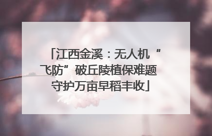 江西金溪：无人机“飞防”破丘陵植保难题 守护万亩早稻丰收