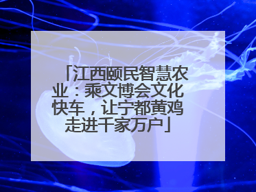 江西颐民智慧农业：乘文博会文化快车，让宁都黄鸡走进千家万户