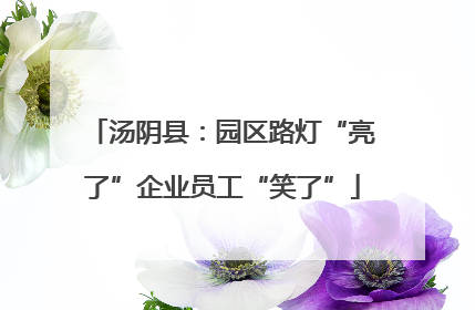 汤阴县：园区路灯“亮了”企业员工“笑了”