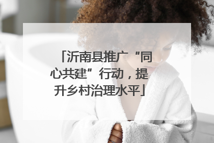 沂南县推广“同心共建”行动，提升乡村治理水平
