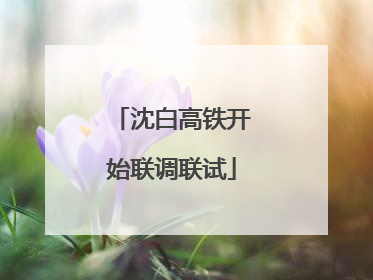 沈白高铁开始联调联试