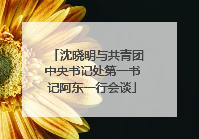 沈晓明与共青团中央书记处第一书记阿东一行会谈