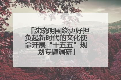 沈晓明围绕更好担负起新时代的文化使命开展“十五五”规划专题调研