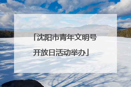 沈阳市青年文明号开放日活动举办