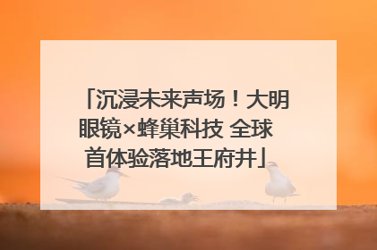 沉浸未来声场！大明眼镜×蜂巢科技 全球首体验落地王府井
