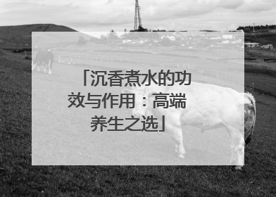 沉香煮水的功效与作用：高端养生之选