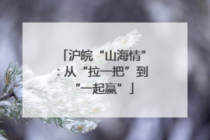 沪皖“山海情”：从“拉一把”到“一起赢”