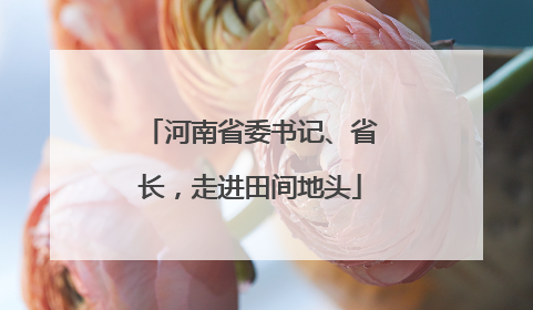 河南省委书记、省长，走进田间地头
