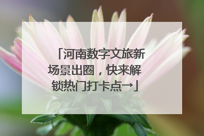 河南数字文旅新场景出圈，快来解锁热门打卡点→