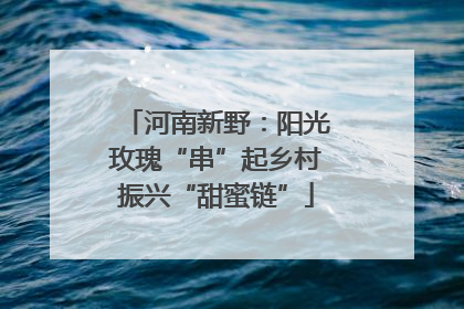 河南新野：阳光玫瑰“串”起乡村振兴“甜蜜链”